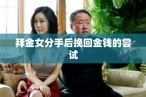 拜金女分手后挽回金钱的尝试