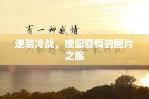 逆袭冷战，挽回爱情的图片之旅