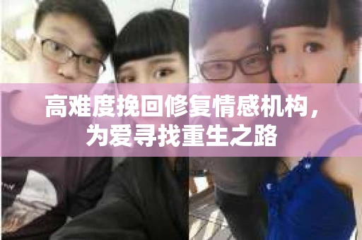 高难度挽回修复情感机构，为爱寻找重生之路