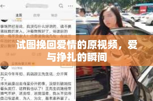 试图挽回爱情的原视频，爱与挣扎的瞬间
