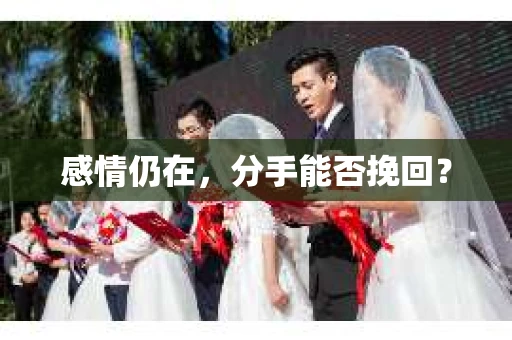 感情仍在，分手能否挽回？