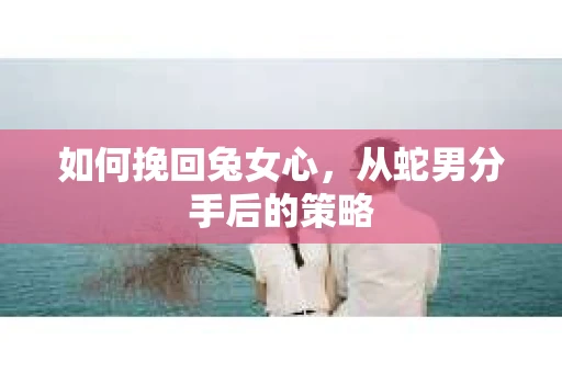 如何挽回兔女心，从蛇男分手后的策略