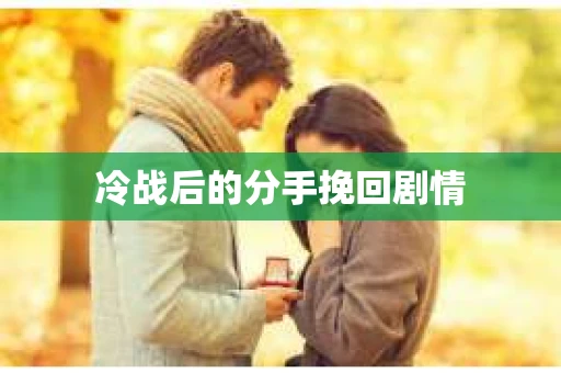 冷战后的分手挽回剧情
