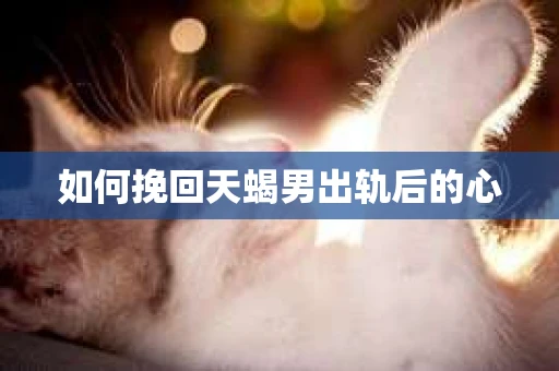 如何挽回天蝎男出轨后的心