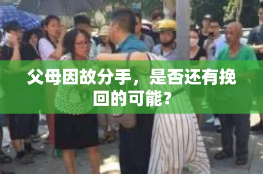 父母因故分手，是否还有挽回的可能？