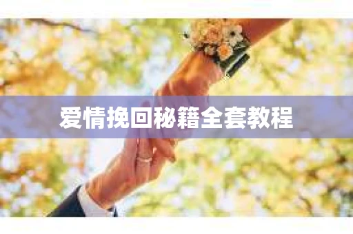 爱情挽回秘籍全套教程