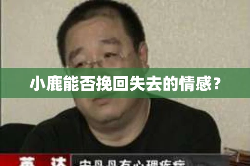 小鹿能否挽回失去的情感？