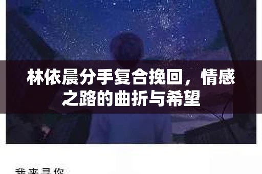 林依晨分手复合挽回，情感之路的曲折与希望