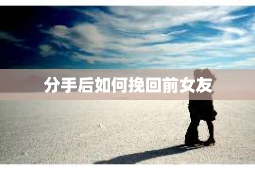 分手后如何挽回前女友