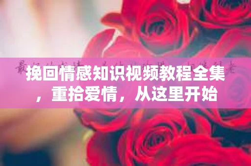 挽回情感知识视频教程全集，重拾爱情，从这里开始