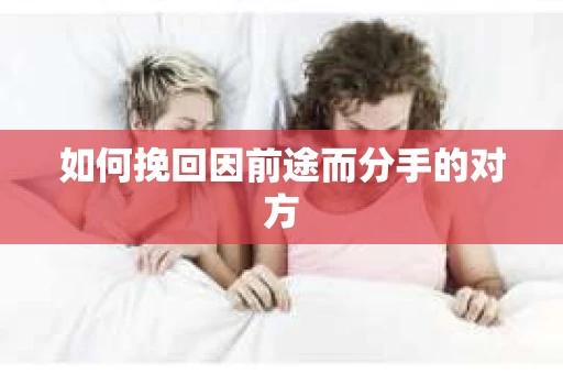 如何挽回因前途而分手的对方