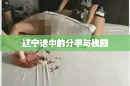 辽宁话中的分手与挽回