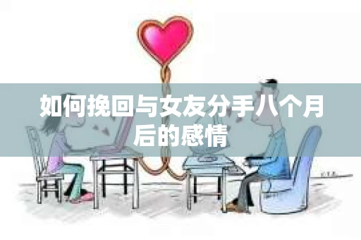 如何挽回与女友分手八个月后的感情