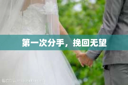 第一次分手，挽回无望