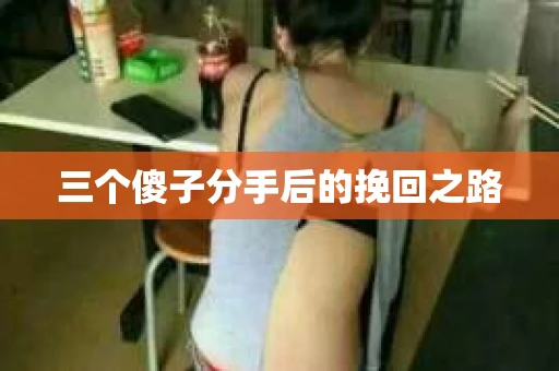 三个傻子分手后的挽回之路