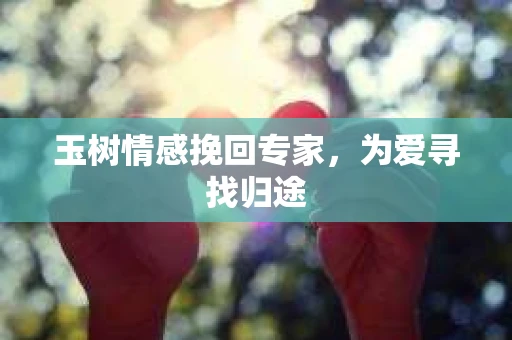 玉树情感挽回专家，为爱寻找归途