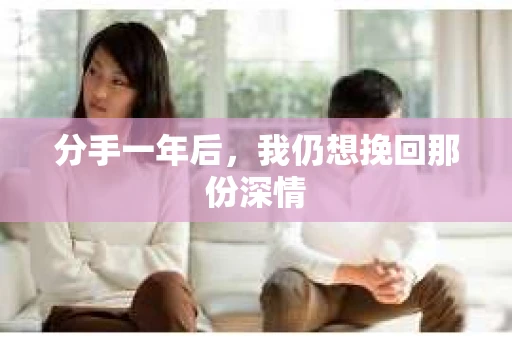 分手一年后，我仍想挽回那份深情