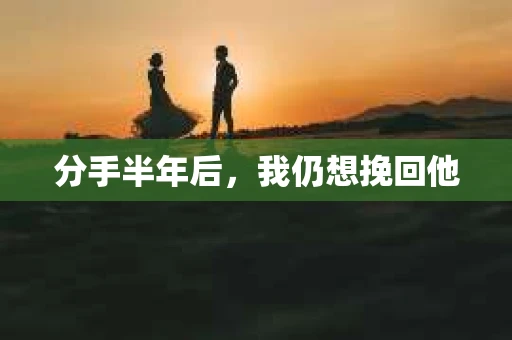 分手半年后，我仍想挽回他