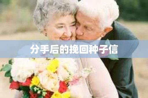 分手后的挽回种子信