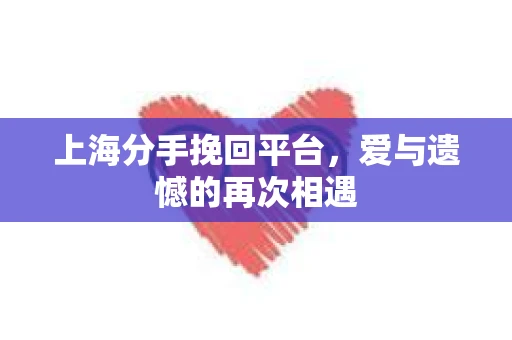 上海分手挽回平台，爱与遗憾的再次相遇