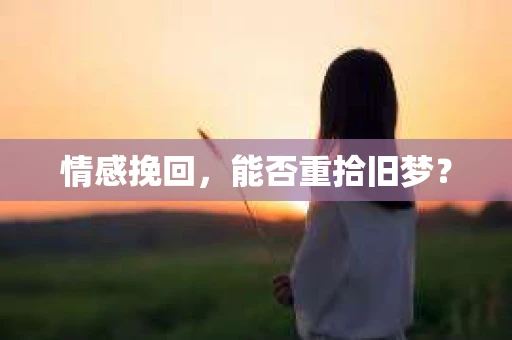 情感挽回，能否重拾旧梦？
