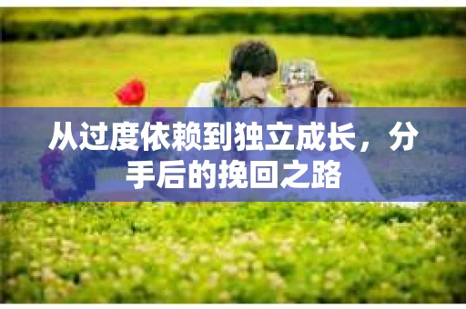 从过度依赖到独立成长，分手后的挽回之路