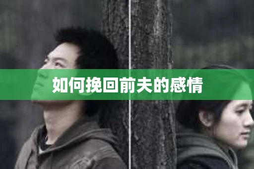 如何挽回前夫的感情
