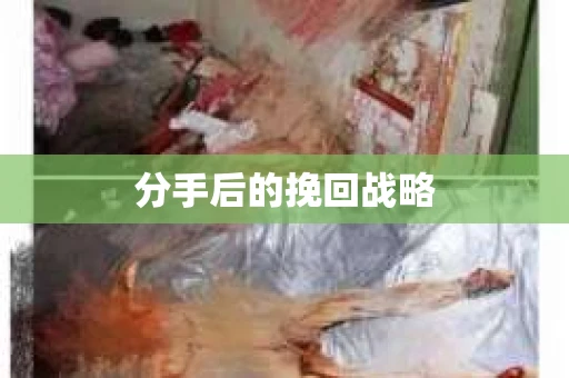 分手后的挽回战略 分手后的挽回战略
