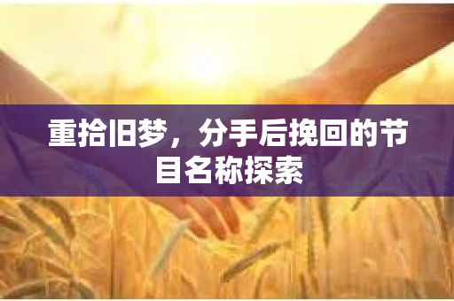 重拾旧梦，分手后挽回的节目名称探索