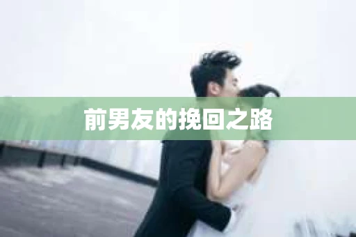 前男友的挽回之路