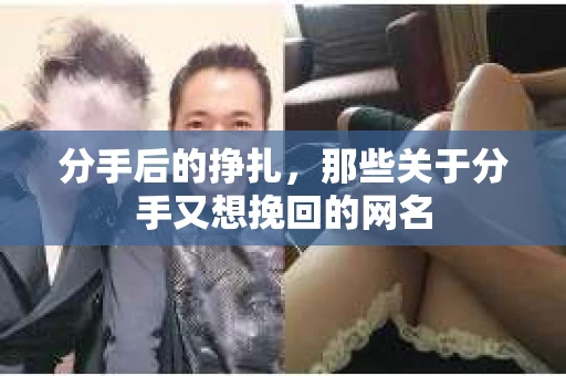 分手后的挣扎，那些关于分手又想挽回的网名
