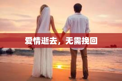 爱情逝去，无需挽回