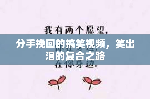 分手挽回的搞笑视频，笑出泪的复合之路