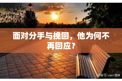 面对分手与挽回，他为何不再回应？