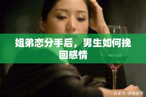 姐弟恋分手后，男生如何挽回感情