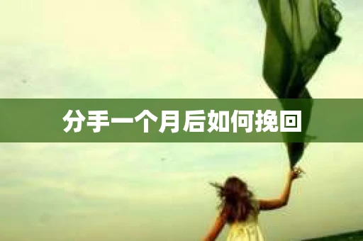 分手一个月后如何挽回