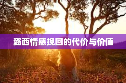 潞西情感挽回的代价与价值