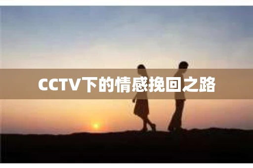 CCTV下的情感挽回之路