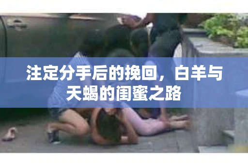 注定分手后的挽回，白羊与天蝎的闺蜜之路