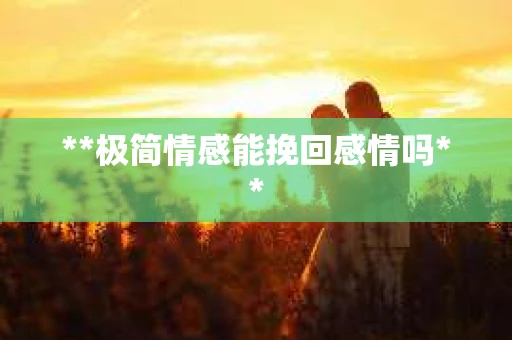 **极简情感能挽回感情吗**