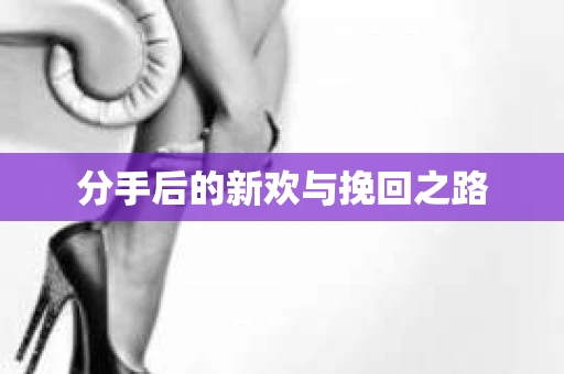 分手后的新欢与挽回之路