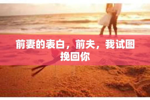 前妻的表白,前夫,我试图挽回你 前妻的表白,前夫,我试图挽回你