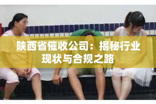 陕西省催收公司：揭秘行业现状与合规之路