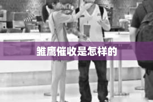 雏鹰催收是怎样的