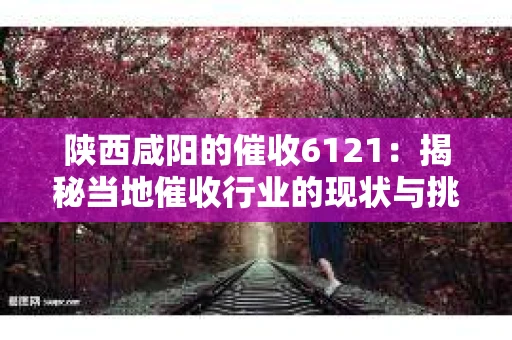 陕西咸阳的催收6121：揭秘当地催收行业的现状与挑战