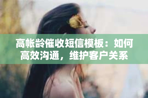 高帐龄催收短信模板：如何高效沟通，维护客户关系
