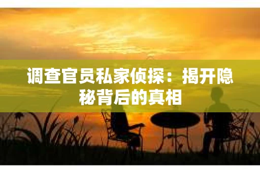 调查官员私家侦探：揭开隐秘背后的真相