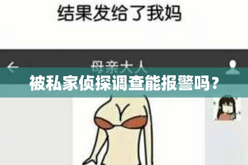 被私家侦探调查能报警吗？