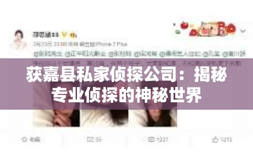 获嘉县私家侦探公司：揭秘专业侦探的神秘世界