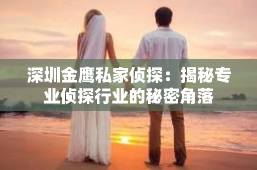 深圳金鹰私家侦探：揭秘专业侦探行业的秘密角落